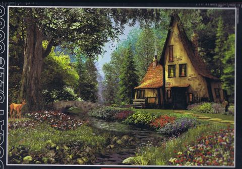 Toadstool Cottage - 6000 brikker (1)